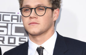 LOS ANGELES, CA - NOVEMBER 22: Recording artist Niall Horan of One Direction attends the 2015 American Music Awards at Microsoft Theater on November 22, 2015 in Los Angeles, California. (Photo by Jason Merritt/Getty Images)