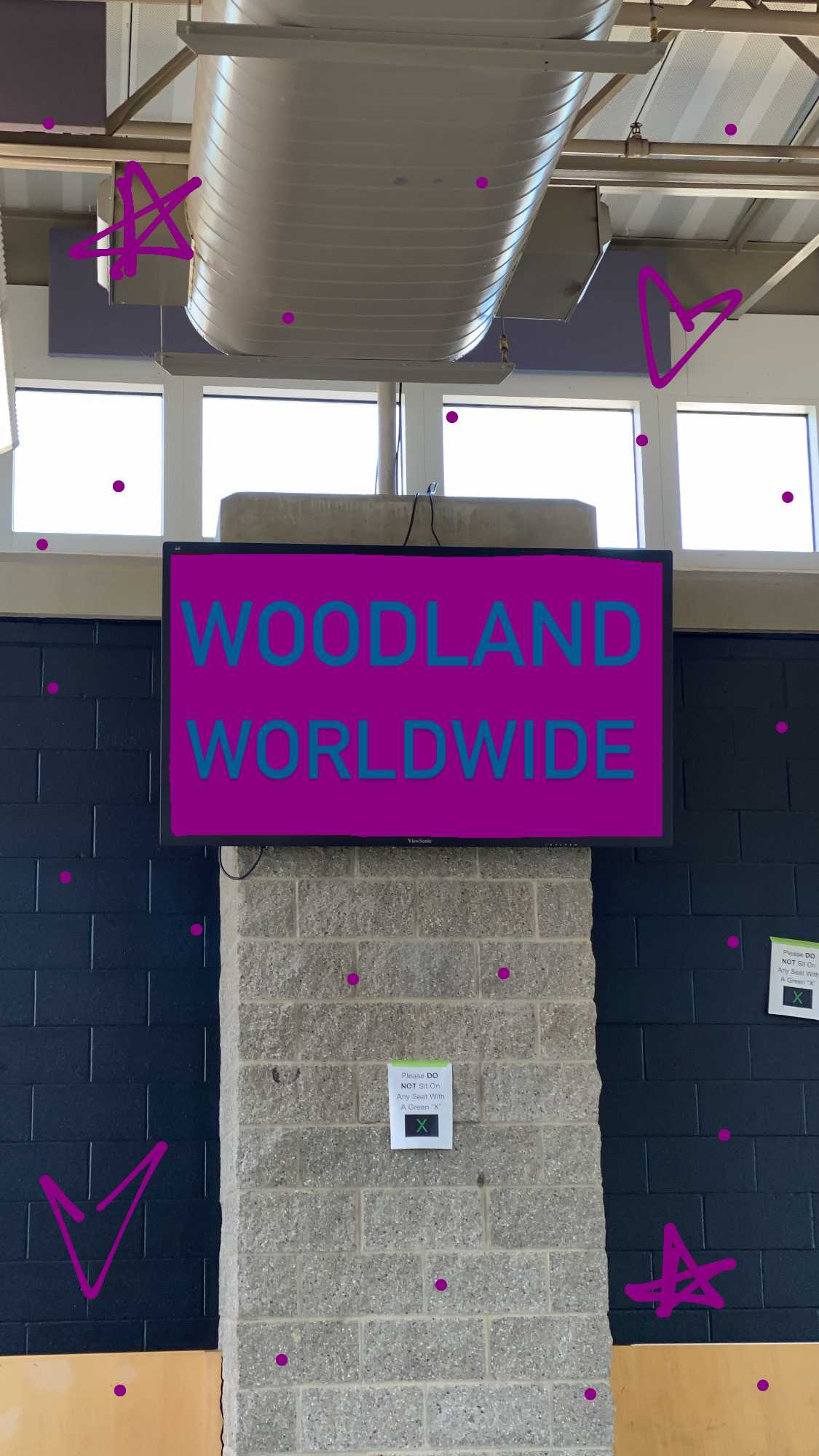 Woodland Worldwide Improving the School’s Community
