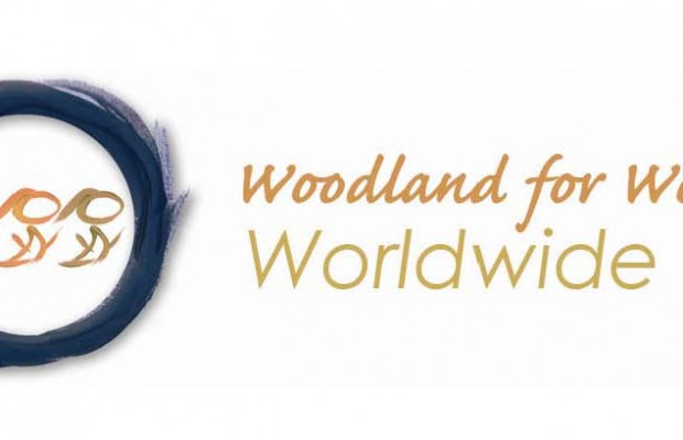Woodland Worldwide:: Encouraging more males to join