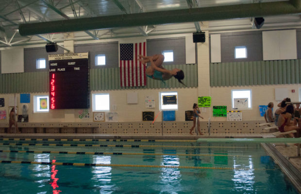 Shaelin Digioia Flips Into Diving