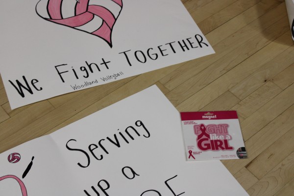 PHOTOS: Volleyball Pink Game