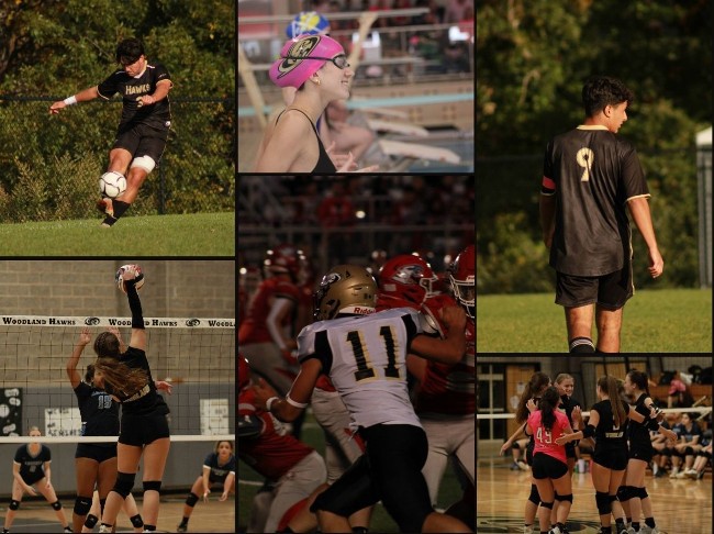 Thinking Back on the Fall to Welcome the Spring Sports